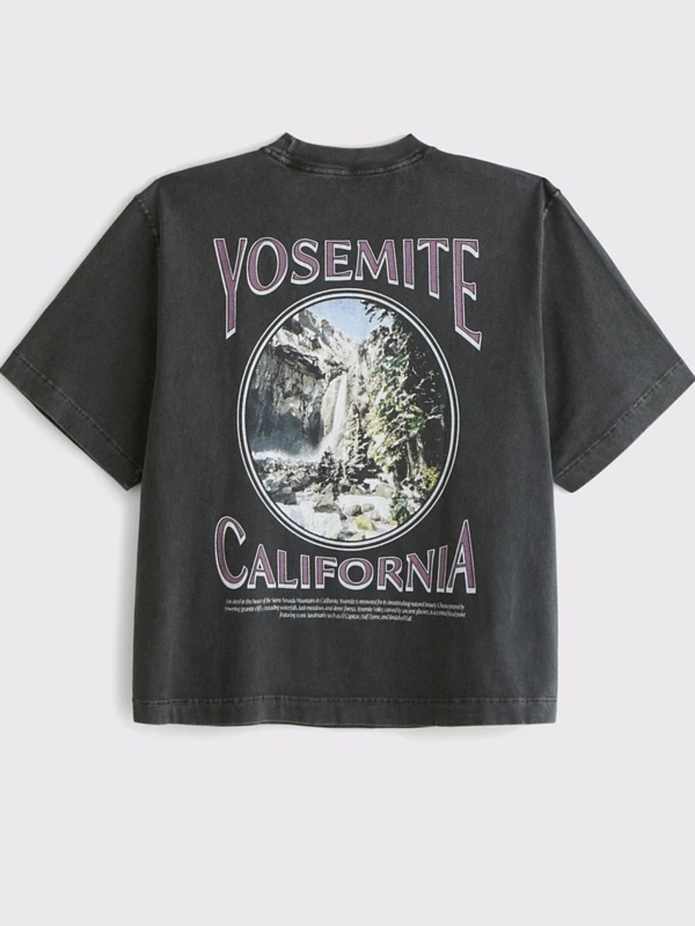 Abercrombie & Fitch Yosemite California Graphic Tee - Black